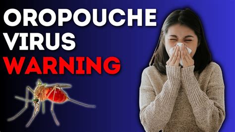 Mysterious Oropouche virus is spreading: what you should know.